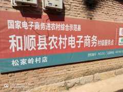 松家岭电商服务站