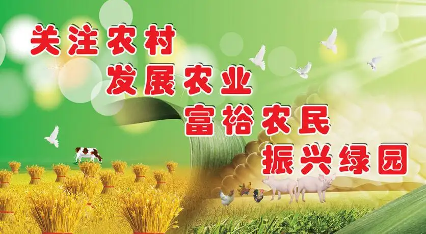 以习近平总书记关于“三